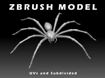 Hunstman Spider Low-poly 3D model