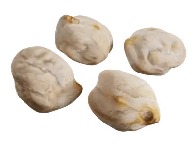  Dried Chickpeas Model 