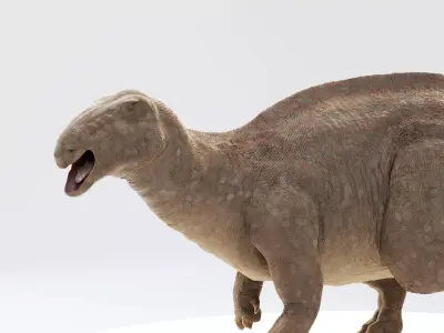 Iguanodon Low-poly 3D model