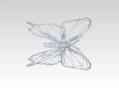 Butterfly Wireframe 3D model