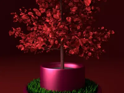 Potted young red leaved tree 1 Free 3D model