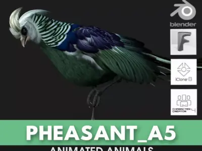 Pheasant A5 3D model
