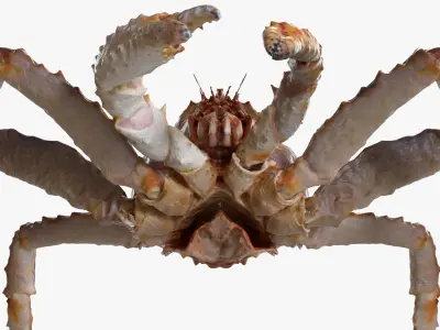 King crab 3D model