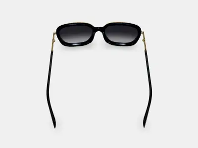 Safia Sunglasses in Jet Black with Polished Gold 3D model