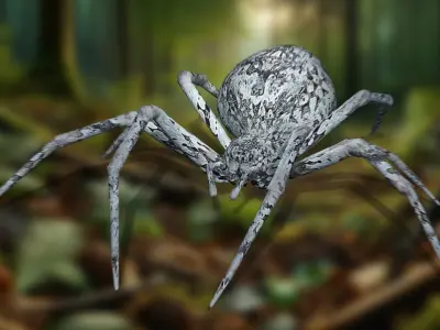 Arachnid Model The 3D Spider Masterpiece   Low-poly 3D model