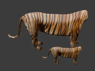 Low Poly Tiger 3D model Low-poly 3D model