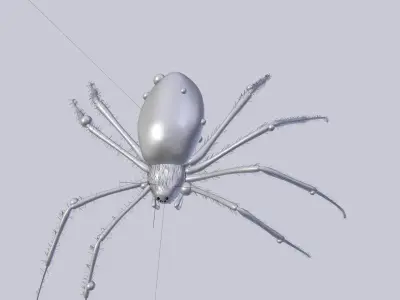 Black and Yellow Garden Spider Low-poly 3D model