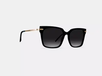 Vela Sunglasses in Jet Black with Polished Gold 3D model