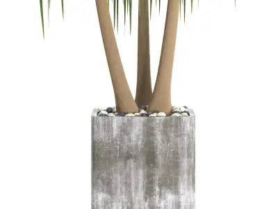 Indoor Plants in Ferm Living Bau Pot Large - Set039 3D model