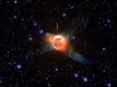 Bird Galaxy 3D model