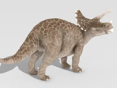 Triceratops Animated Low-poly 3D model