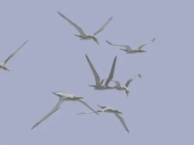 Low Poly Seagull group of birds flying in sky Low-poly 3D model