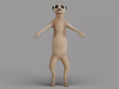 Suricata meerkat 3D model