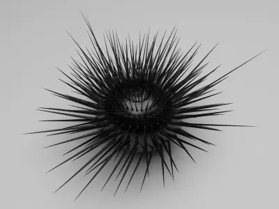 Sea Urchin 3D model