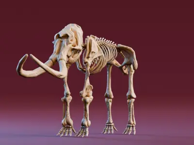 Realistic Mammals Fossil - Mammoth Low-poly 3D model