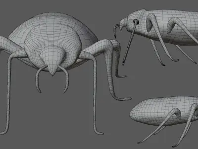 Bedbug bed bug Low-poly 3D model