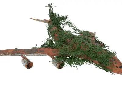 Damaged Rusted Airplane 3D model