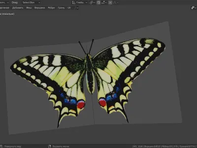 Mahaon butterfly animation Low-poly 3D model