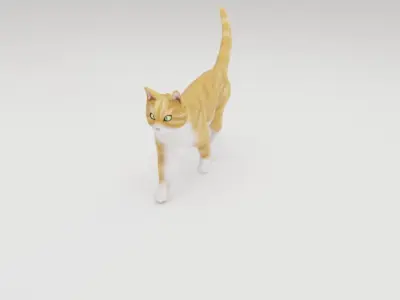 Realistic Cat Rigged 3D model