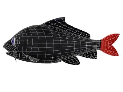 Red Tailed Black Animated Shark  Low-poly 3D model