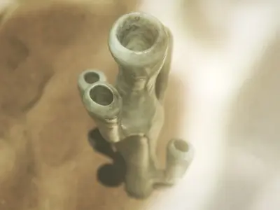 Vauxia Low-poly 3D model