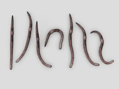 Earthworm set of wooden tusks Low-poly 3D model