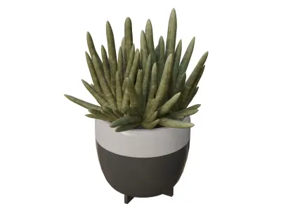3D Model of Indoor Bamboo Plant Realistic and Printable Free low-poly 3D model