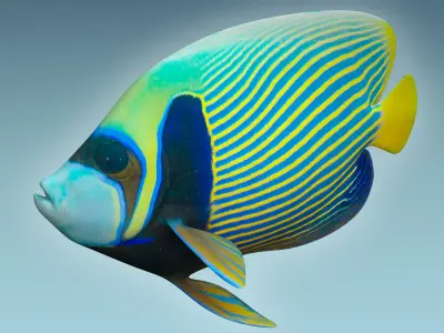 Anglefish 13 3D model