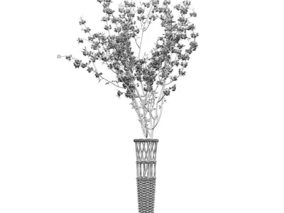 Basket Vase and Sakura Flower Free 3D model