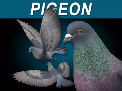 Pigeon B - Flight 3D model