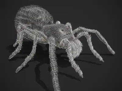 Black Spider Low-poly 3D model