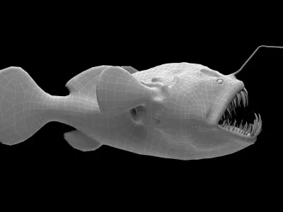 Angler Fish monkfish 3D model