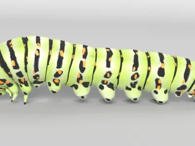 Animated Caterpillar 3D model