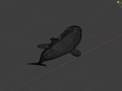  killer whale Free 3D model