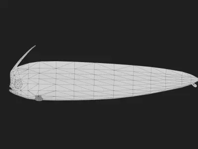 Crestedbandfish Low-poly 3D model