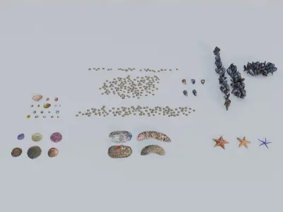 Nature Assets - Marine Biome Low-poly 3D model