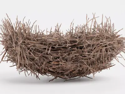 -Nest- 3D model