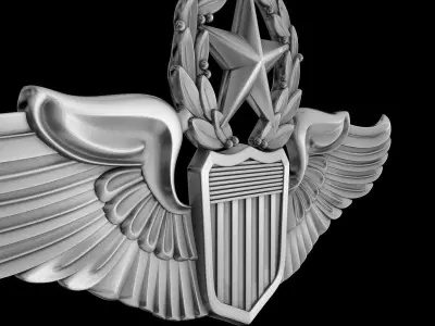 USAAF Command Pilot Wings Badge 3D model