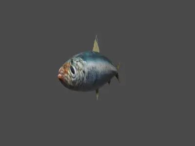 Fish - Sardine - Peixe Low-poly 3D model