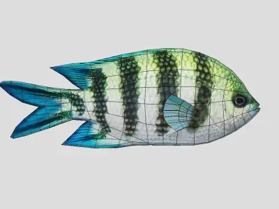 sergeant fish Low-poly 3D model