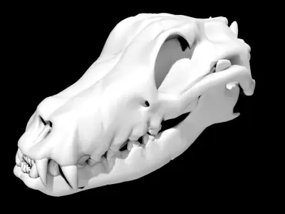 Dog Skull Low-poly 3D model