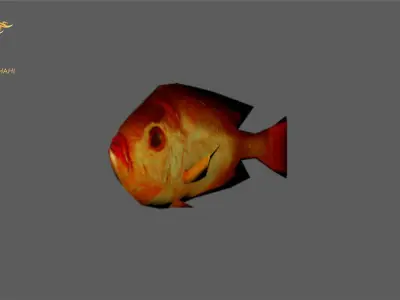 Animated Golden Fish - Loop Animation Low-poly 3D model