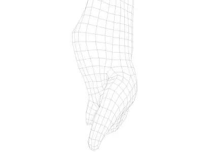 Pork Body Half Low-poly 3D model