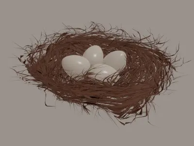 Bird Nest 3D model