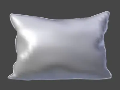 Voyage Cushion - Morning Chorus -Piped Pillow 3D model