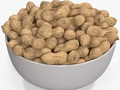 Peanuts 2 3D model