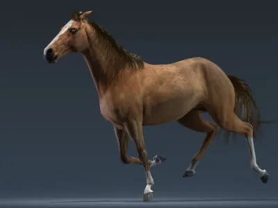 Horse Animated 3D model order