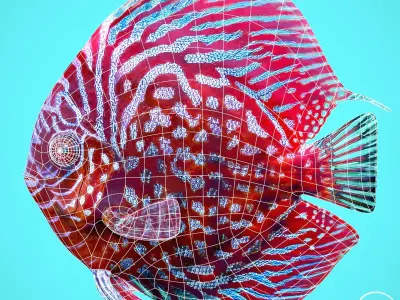 Fish Discus Low-poly 3D model