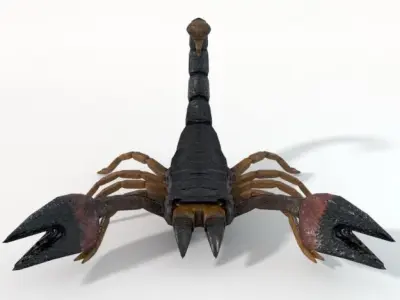 Scorpion Low-poly 3D model