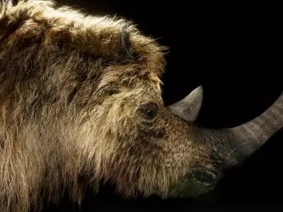 The Woolly Rhino Free low-poly 3D model